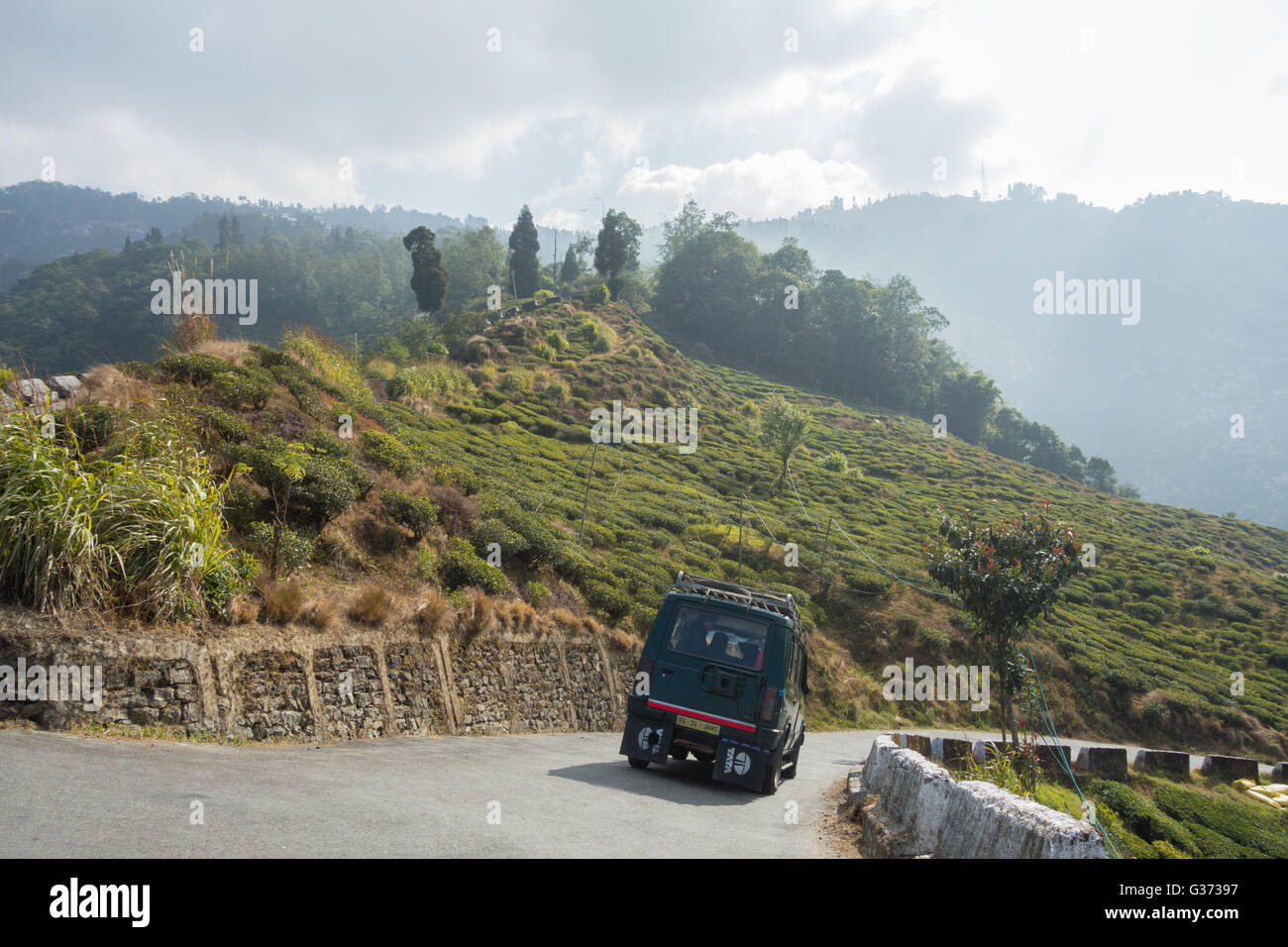 tata-sumo-car-going-downhill-on-bloomfield-road-darjeeling-west-bengal-G37397.jpg