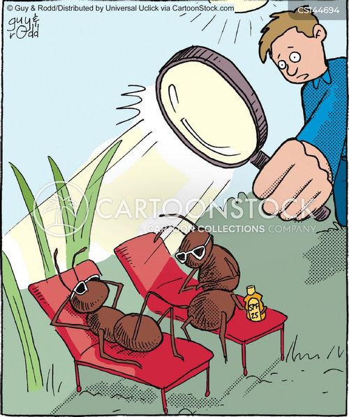 animals-ant-magnifying_glass-magnify-magnified-sunbathes-gra071217_low.jpg
